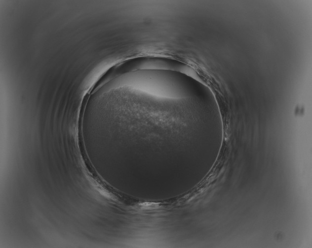 X0000094790052200711241410