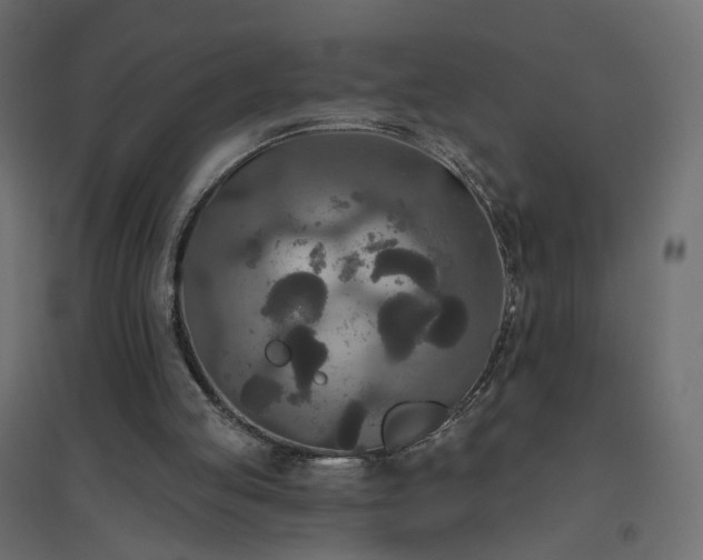 X0000094790053200711241410