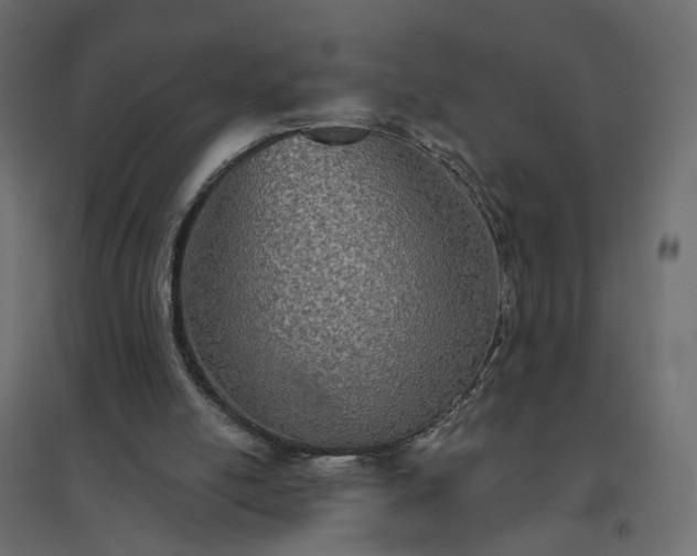 X0000094790054200711241410