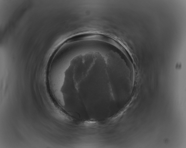 X0000094790055200711241410