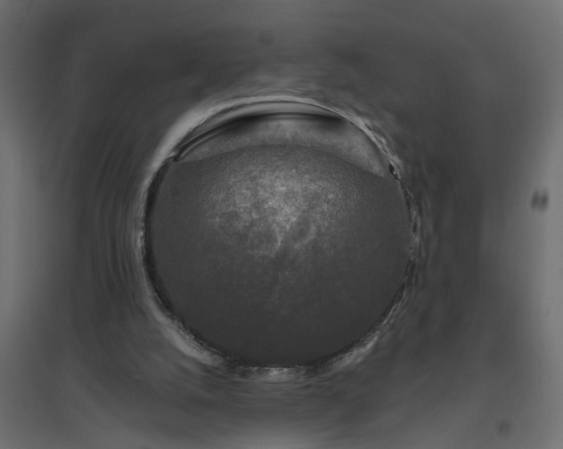 X0000094790056200711241411