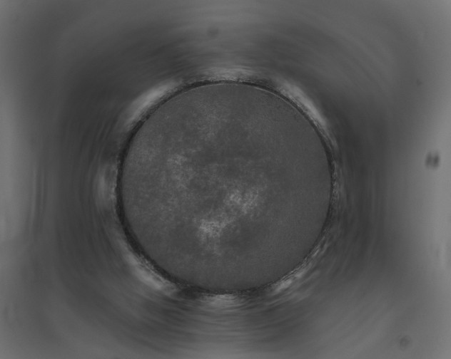 X0000094790058200711241411