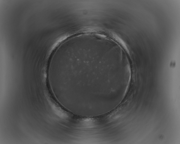 X0000094790059200711241411