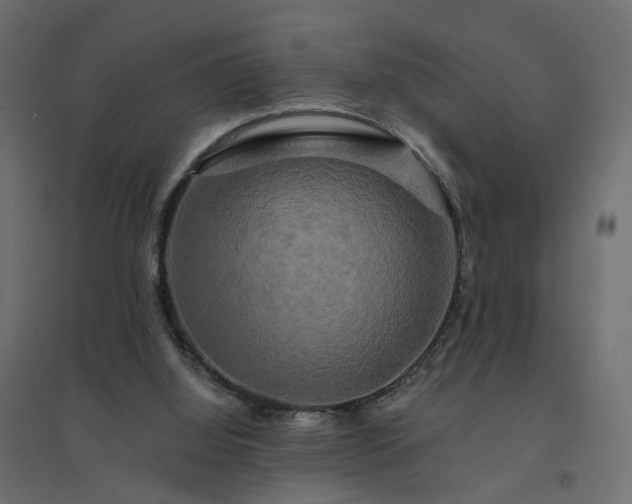 X0000094790060200711241411