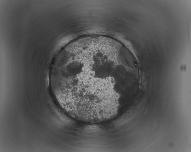 X0000094790061200711241411