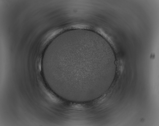 X0000094790062200711241411