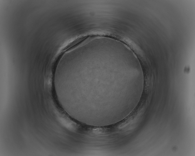 X0000094790064200711241411