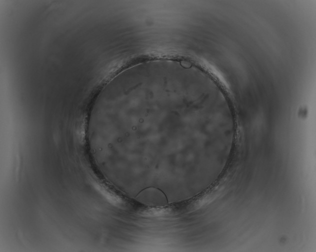 X0000094790065200711241411