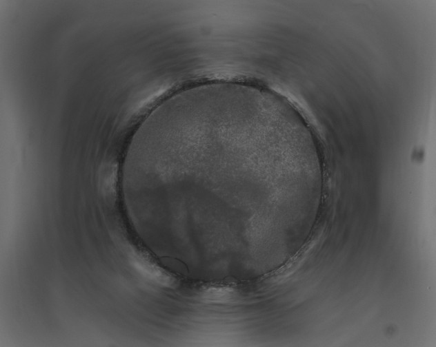 X0000094790066200711241411