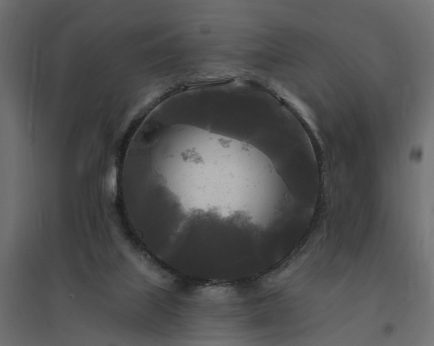 X0000094790067200711241411