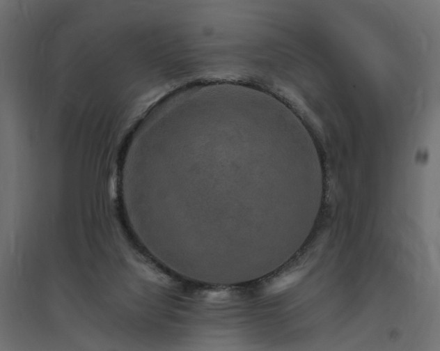 X0000094790068200711241411