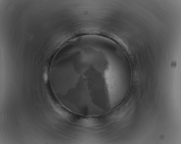 X0000094790069200711241411