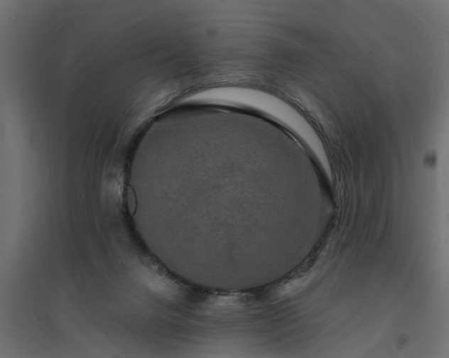 X0000094790072200711241411