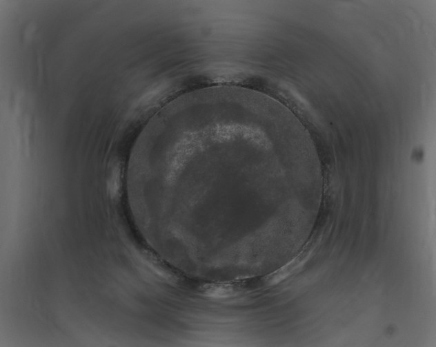 X0000094790074200711241411