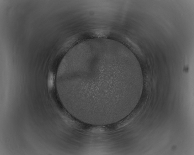 X0000094790075200711241411