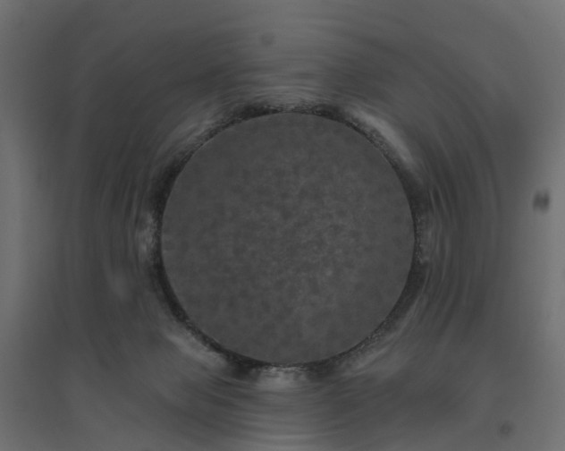 X0000094790077200711241411