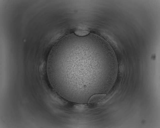 X0000094790079200711241411