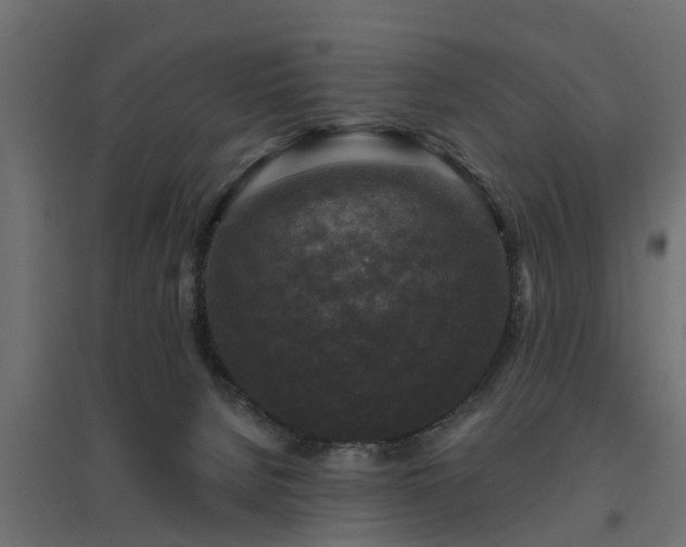 X0000094790080200711241411