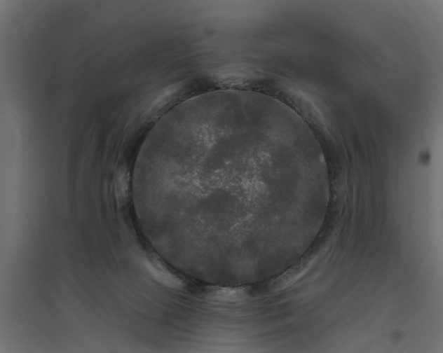 X0000094790081200711241411