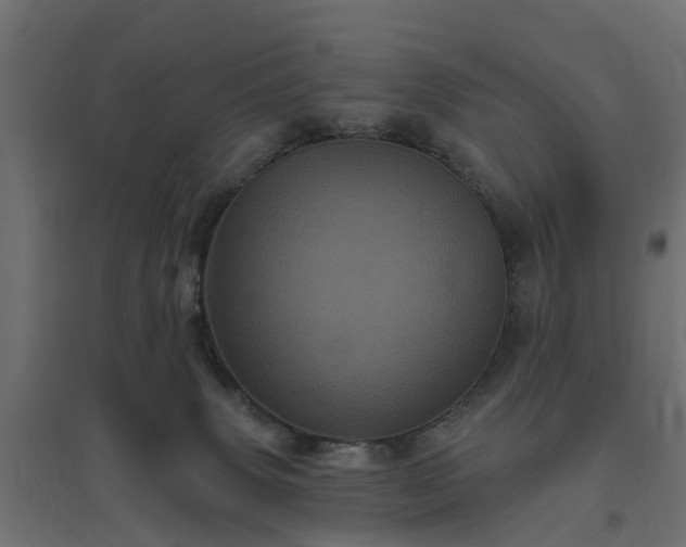 X0000094790083200711241411