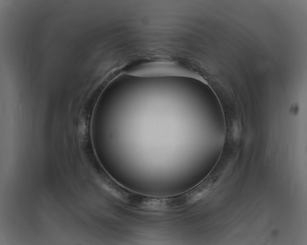 X0000094790084200711241411