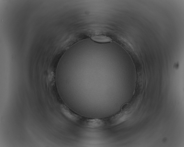 X0000094790087200711241411