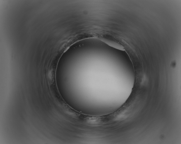 X0000094790088200711241411