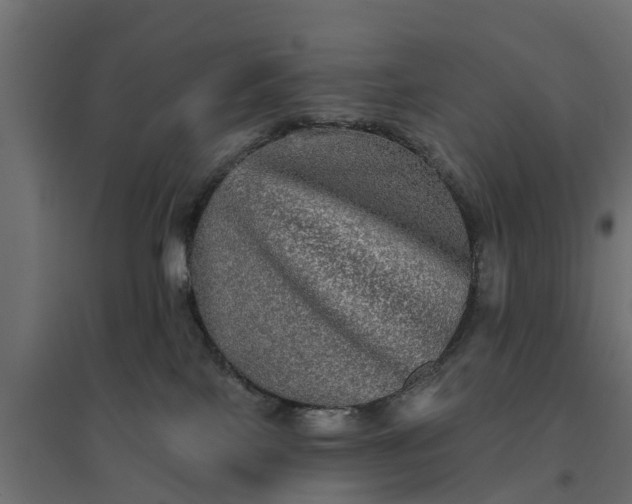 X0000094790089200711241411