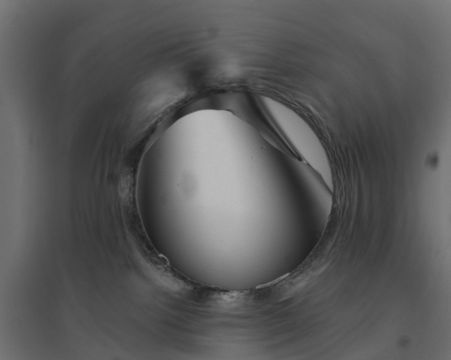 X0000094790092200711241411