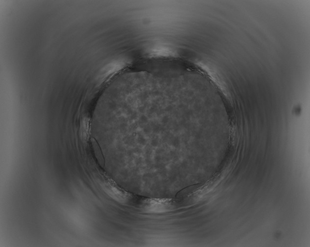 X0000094790093200711241411