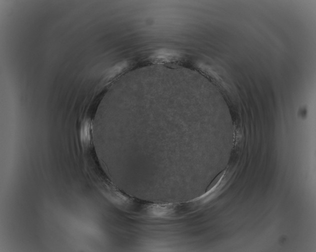 X0000094790094200711241411