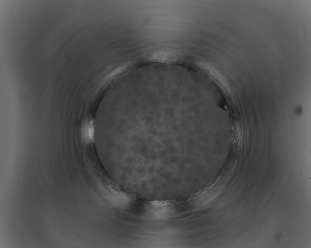 X0000094790095200711241411