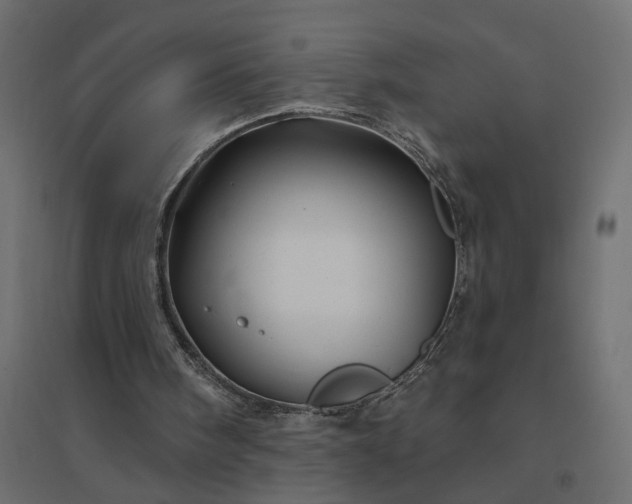 X0000094790098200711241410