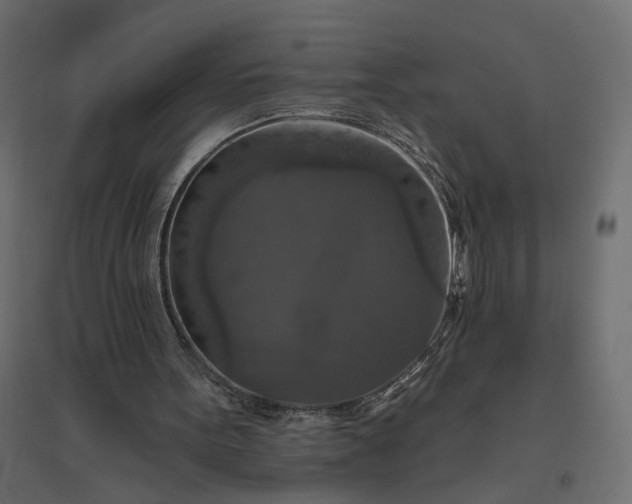 X0000094790099200711241410