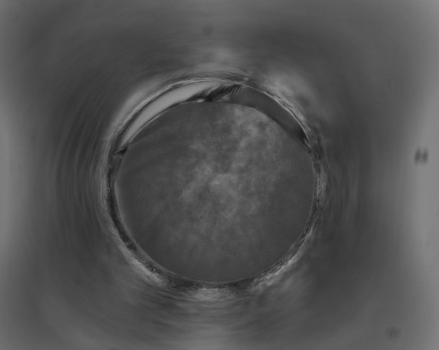 X0000094790101200711241410