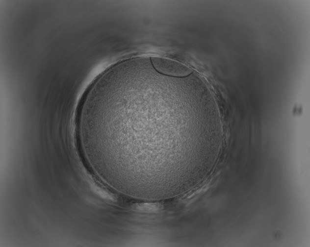 X0000094790102200711241410