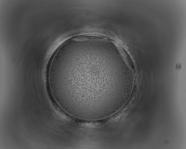 X0000094790103200711241410