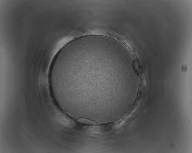 X0000094790104200711241410