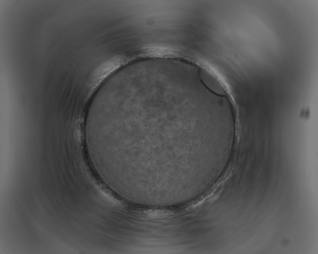 X0000094790105200711241410