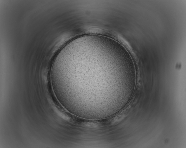 X0000094790106200711241410