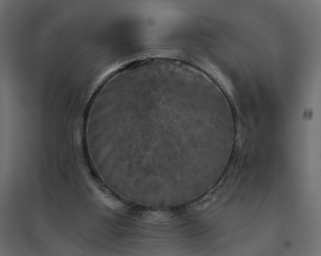 X0000094790107200711241410