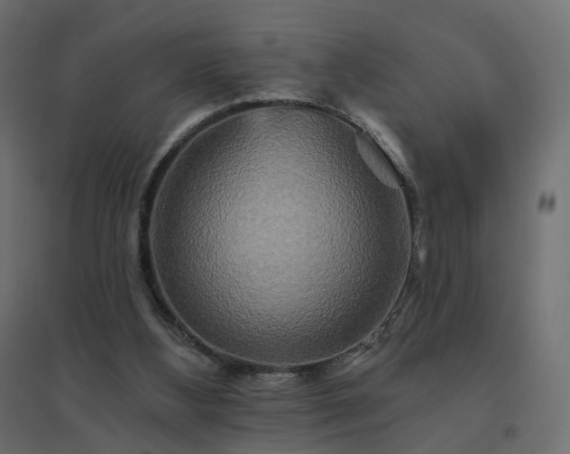 X0000094790108200711241410