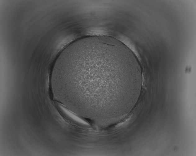 X0000094790109200711241410