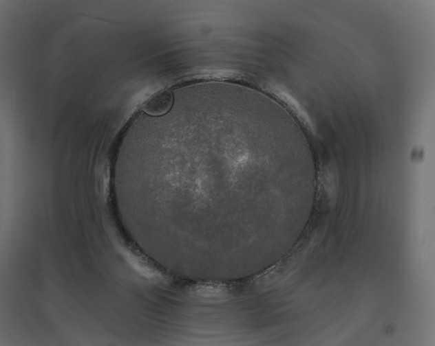 X0000094790110200711241410