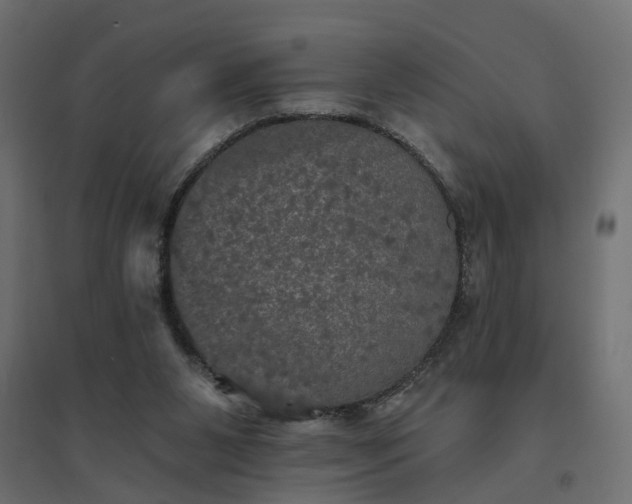 X0000094790111200711241410