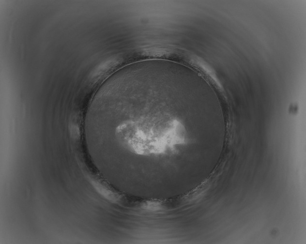 X0000094790114200711241410