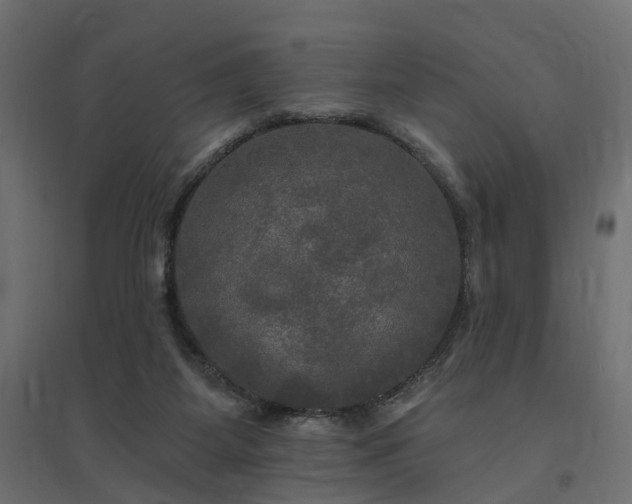 X0000094790115200711241410