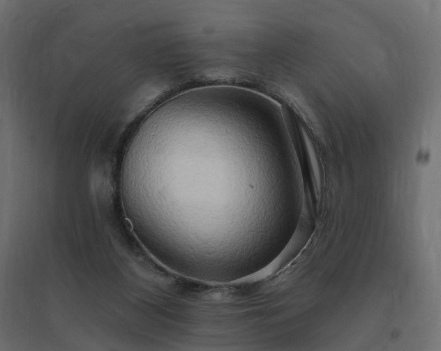 X0000094790116200711241410