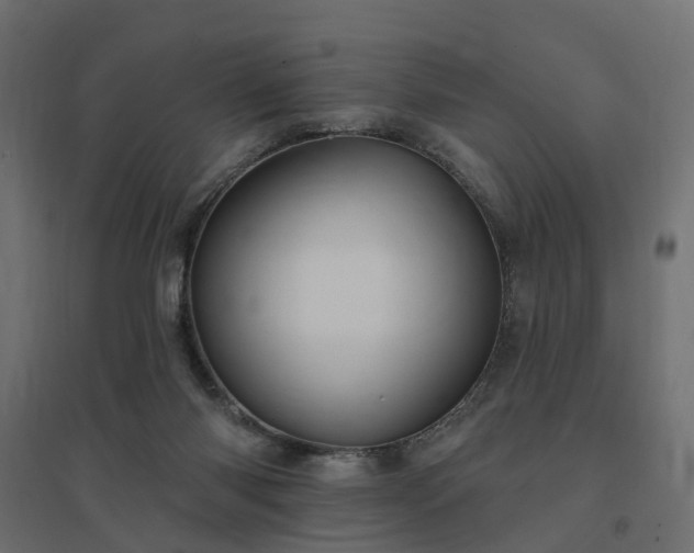 X0000094790118200711241410