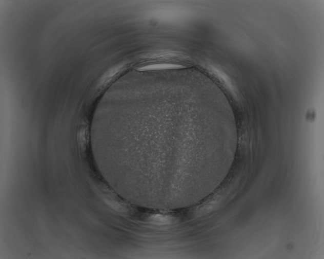 X0000094790119200711241410